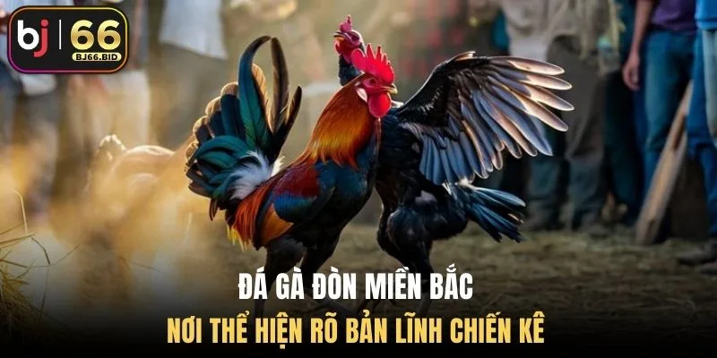 da-ga-don-mien-bac
